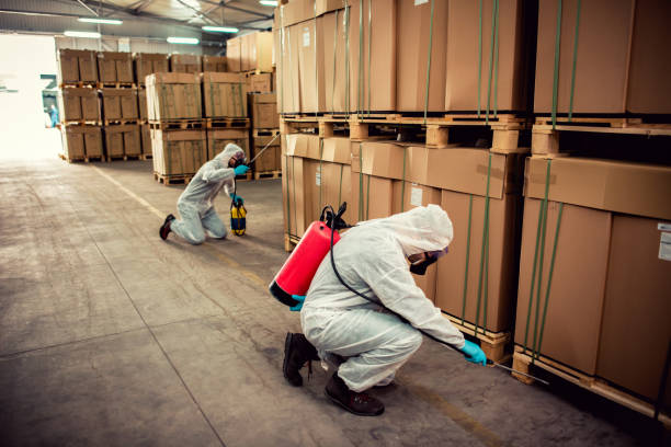 Best Affordable Pest Control Services  in Kelly Ridge, CA