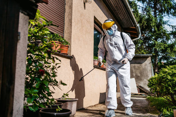 Pest Control for Restaurants in Kelly Ridge, CA