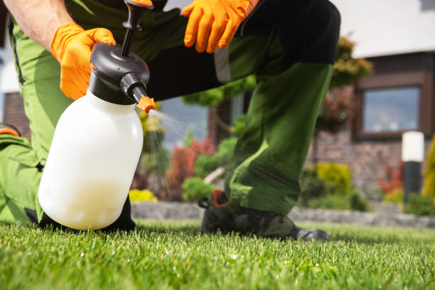 Best Pest Control Near Me  in Kelly Ridge, CA