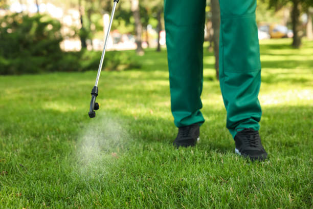 Best Best Pest Control Companies  in Kelly Ridge, CA