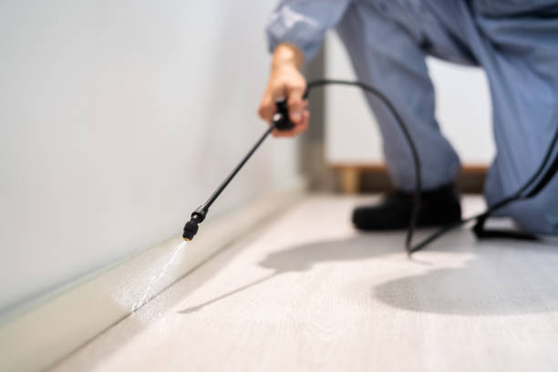 Best Pest Prevention Services  in Kelly Ridge, CA