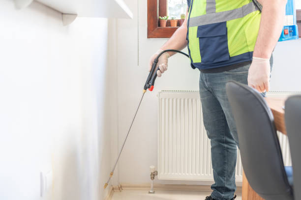 Best Ant Control Services  in Kelly Ridge, CA