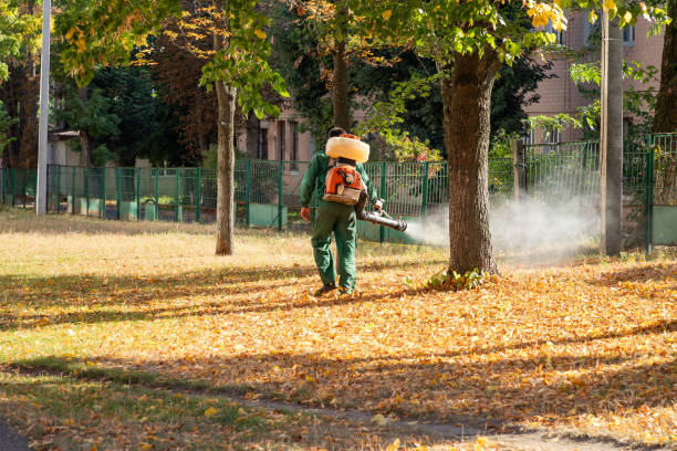Best Flea Control Services  in Kelly Ridge, CA