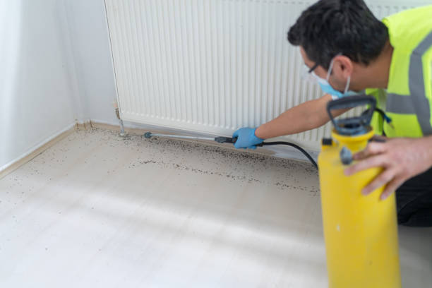 Pest Control Cost in Kelly Ridge, CA